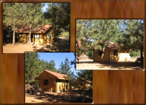 Ernesto Ortiz Turismo en Chile en Algarrobo |  Algarrobo Arriendo de Caba&ntilde;as, ECO CABA&Ntilde;AS ALGARROBO