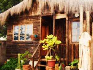 CABA&Ntilde;A DEL ARBOL Turismo en Chile en Conc&oacute;n |  ARRIENDO, R&Uacute;STICA CABA&Ntilde;A EN CONCON, capital gastronomica de chile, CABA&Ntilde;A DEL ARBOL
