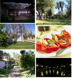 La Palma parcela de eventos Turismo en Chile en Talagante |  centro de eventos la palma, matrimonios, graduaciones, asados campestres, paseos de empresas y colegios