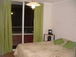 Patricio Turismo en Chile en Santiago |  Arriendo departamento por d&iacute;a, amoblado, en Santiago Centro, Departamento amoblado