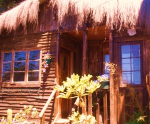 KAREN OZ Turismo en Chile en Conc&oacute;n |   ARRIENDO CONCON Encantadora Caba&ntilde;a R&uacute;stica  FINES DE SEMANA, VACACIONES , CABA&Ntilde;A DEL &Aacute;RBOL