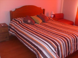  Turismo en Chile en Santiago |  Arriendo de departamento amoblado en santiago, sector bellas artes