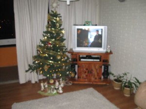 BARBARA VARGAS Turismo en Chile en Arica |  DEPARTAMENTO AMOBLADO, DEPARTAMENTO AMOBLADO