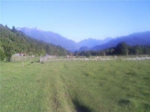 DON OSBALDO DIETZ Turismo en Chile en Puerto Montt |  VENDO 130 HECTAREAS DE CAMPO EN LAGO CHAPO, VENDO CAMPO LAGO CHAPO