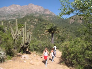 Inti Garcia E Turismo en Chile en Olmu&eacute; |  Treking Gourmet en Senderos de PN La Campana y otros., PACIFIC ANDES EXPERIENCE