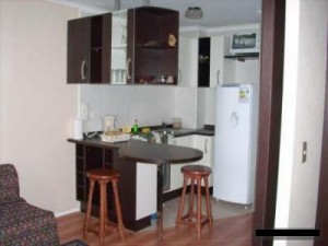 Rosa Riquelme Turismo en Chile en Santiago |  ARRIENDO DEPARTAMENTOS AMOBLADOS, METRO UNIVERSIDAD CATOLICA
