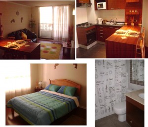 IVAN Turismo en Chile en Santiago |  ARRIENDO DEPARTAMENTO AMOBLADO STGO CENTRO, ARRIENDO DPTO  AMOBLADO STGO CENTRO
