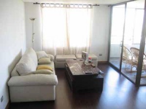  Turismo en Chile en Las Condes |  DEPARTAMENTO ABOBLADO EN ARRIENDO LAS CONDES, PROVIDENCIA, SANTIAGO, FURNISHED APARTMENT FOR RENT