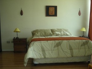  Turismo en Chile en Santiago |  Arriendo Comodos Departamentos Amoblados (d&iacute;as, semanas) Stgo. Centro. , Ubicaci&oacute;n: Mar&iacute;n con Lira �METRO UNIV. CATOLICA