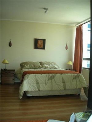  Turismo en Chile en Santiago |  Arriendo comodos departamentos amoblados ( dia/s , semanas) Stgo centro,  Metro universidad catolica