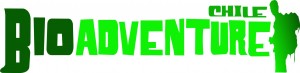 BIOADVENTURE CHILE Turismo en Chile en Providencia |  RENT A BIKE RENTAL TREKKING TOURS BIKE TOURS rent a ski rental, BIOADVENTURE CHILE RENT A BIKE, TOURS, TREKKING,  RENT A SKI ...