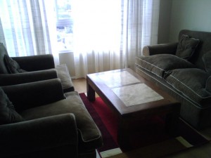Carmen Turismo en Chile en Santiago |  LINDO DEPARTAMENTO FULL AMOBLADO, FULL AMOBLADO PARA DOS PERSONAS