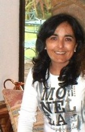  Turismo en Chile en &Ntilde;u&ntilde;oa |  Intensivos de Ingl&eacute;s e Italiano, por traductora chilena-italiana.
