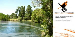 luis felipe Turismo en Chile en Puerto Varas |  parque chucao encantao, Ornitologia , miradores ,senderos ,rio ,pesca