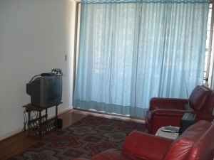 luisa Turismo en Chile en Santiago |  Arriendo Depto amoblado por dias, semana o meses, depto amoblado a extranjeros 