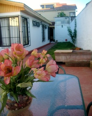 Ninfa Rojas Turismo en Chile en Vi&ntilde;a del Mar |  Venta Casa Del Sol B&B, $190.000.000
