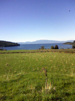 arno brandau Turismo en Chile en Frutillar |  venta de parcela, venta