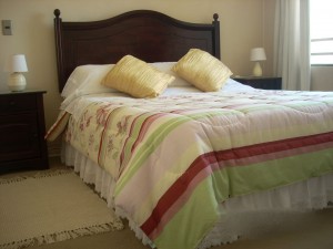 Bella Vita Apartments Turismo en Chile en Santiago |  ALOJAMIENTO, HOSPEDAJE, APART HOTEL, DEPARTAMENTOS AMOBLADOS SANTIAGO CHILE, DE 1 A 3 DORMITORIOS, PARA TURISTAS FONOS 09-1955202 / 07-6364990