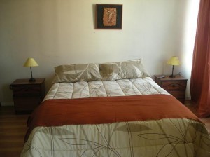  Turismo en Chile en Santiago |  ARRIENDO DEPARTAMENTOS AMOBLADOS EN STGO CENTRO .(dia/s,semanas), 2 ambient, Metro universidad catolica, metro sta isabel