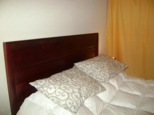  Turismo en Chile en Santiago |  Arriendo Departamentos Amoblados, por dias, desde $ 22.000, METRO SANTA LUCIA