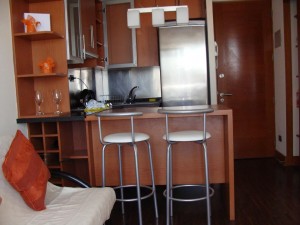 ANGELICA Turismo en Chile en Providencia |  $ 21.000 desde deptos amoblados en providencia, buenos bonitos y baratos