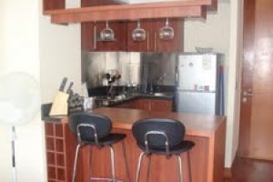 Claudio Pezoa Turismo en Chile en Providencia |  Arriendo departamento amoblado, Providencia - Manuel Montt