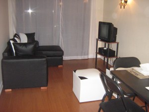 MARIA LORENA OLGUIN Turismo en Chile en Santiago |  ARRIENDO DEPARTAMENTOS AMOBLADOS 1 Y 2 DORMITORIO DIA SEMAN REGION METROPOL, DEPARTAMENTOS 1 Y 2 DORMITORIOS EN SANTIAGO DIA SEMANA , RM