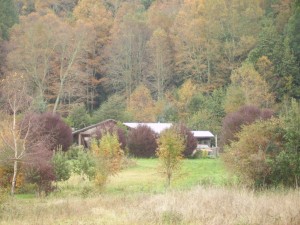 Andrea Molina Turismo en Chile en Panguipulli |  ARRIENDO CABA&Ntilde;A EN PANGUIPULLI, CABA&Ntilde;A CERCA LAGO PANGUIPULLI PARA 6 PERSONAS