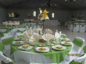 maria teresa Turismo en Chile en Santiago |  banqueteria maria teresa eventos 9845065, matrimonios, garduaciones, bautizos, aniversarios, cocktail, etc