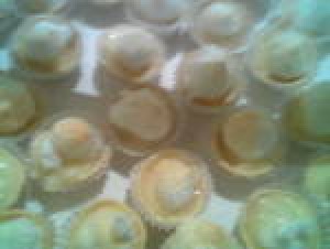 maria Turismo en Chile en Santiago |  empanaditas pizzetas brochetas todo para su fiesta calidad 086612223, alitas de pollo mini pizzas brochetas canape todo coctel servicio de garzon