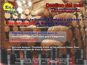 Maureen Morgado Turismo en Chile en Las Condes |  Enjoy Viajes, Viajes Especiales