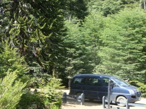 Inti Scheuermann Turismo en Chile en Puerto Varas |  PATAGONIA ANKATU, Transporte privado 