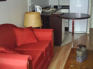 Turismo en Chile en Santiago |  ARRIENDO DEPARTAMENTOS AMOBLADOS EN STGO centro  por d&iacute;as 2 ambientes.-, VER FOTOS EN P&Aacute;GINA WEB. Metro universidad cat&oacute;lica