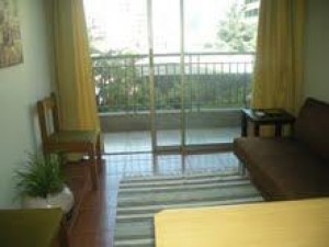  Turismo en Chile en Santiago |  ARRIENDO DEPARTAMENTOS AMOBLADOS EN SANTIAGO de CHILE  Impecable (dia/s,sem, Metro Baquedano, Limite providencia, Stgo centro