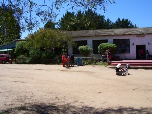 quisco service sra. Carmen Aros Turismo en Chile en El Quisco |  Arriendo casa en El Quisco, completa, por pieza, camping. barato, amplio terreno, bosquecillo de pinos 100 metros del mar