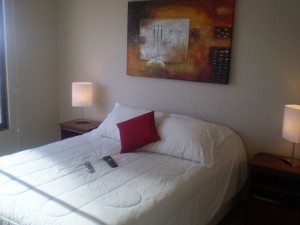 Mario Castillo Turismo en Chile en Santiago |  Arrendamos departamento amoblado en Santiago por d&iacute;as, Vea videos y fotos de los departamentos en nuestra p&aacute;gina Web