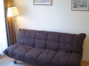 Mario Castillo Turismo en Chile en Santiago |  Departamento Amoblado en Santiago Arriendo por d&iacute;a, d&iacute;as o semana., Ahora pague 3 cuotas precio contado, visite nuestra pagina web.