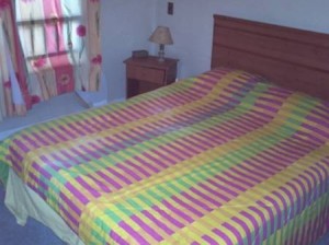 SUSANA Turismo en Chile en Santiago |  ARRIENDO DEPARTAMENTO DIARIO AMOBLADO  SANTIAGO CENTRO., 1 AMBIENTE