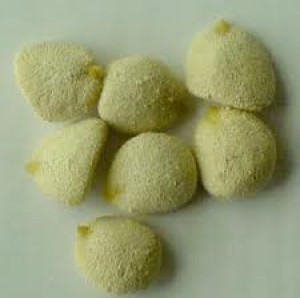 paola Turismo en Chile en Santiago |  Nuez de la India $ 13000, semillas para adelgazar 100% natural