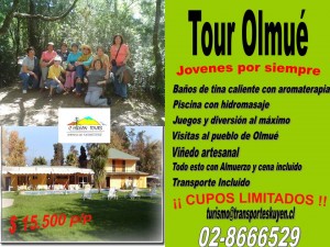Carlos Mu&ntilde;oz Silva Turismo en Chile en San Miguel |  Viaja por Chile y al Extranjero, conoce y disfruta con nosotros desde $13.000