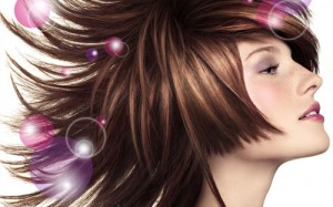 manuel Turismo en Chile en Santiago |  ESTILISTAS A DOMICILIO, servicio integral todas las comunas de santiago