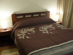 Marcela Ruiz Turismo en Chile en Santiago |  se arrienda departamento por dia en santiago, excelente ubicaci&oacute;n