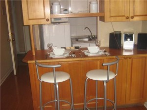 lydservice Turismo en Chile en Santiago |  ARRIENDO DEPARTAMENTOS AMOBLADOS DIAS SEMANA EN SANTIAGO DE CHILE, DEPARTAMENTOS AMOBLADOS POR DIA 1 Y 2 DORMITORIOS EN SANTIAGO CHILE