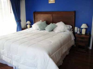 HomeChile Turismo en Chile en Santiago |  DEPARTAMENTOS AMOBLADOS EN SANTIAGO, ARRIENDOS EN LAS CONDES, PROVIDENCIA, SANTIAGO CENTRO