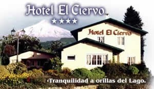  Turismo en Chile en Villarrica |  Hotel El Ciervo   , Hotel El Ciervo, el lugar ideal para las personas que aman la naturaleza y aprec