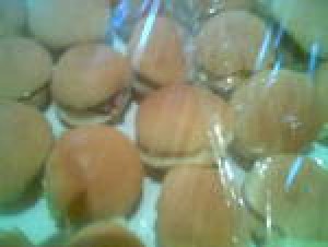 maria Turismo en Chile en Santiago |  canape empanaditas mini pizzas todo para su fiesta 086612223, mini pizzas pizzetas servicio de banqueteria garzones todo evento