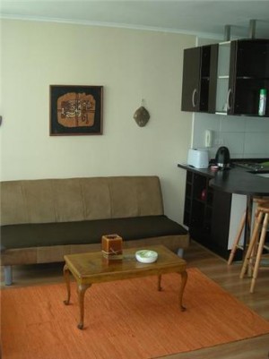  Turismo en Chile en Santiago |  ARRIENDO COMODOS  DEPARTAMENTOS AMOBLADOS EN STGO CENTRO .(dia/s,semanas), , METRO UNIVERSIDAD CATOLICA   linea 1