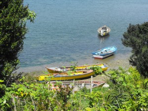 alejandro sanchez Turismo en Chile en Ancud |  la peninsula, entre mitos y ostras