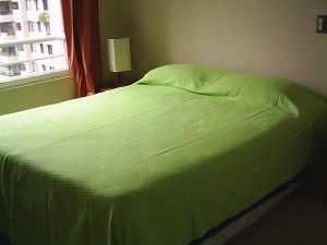  Turismo en Chile en Santiago |  Arriendo Departamentos Amoblados.(D&iacute;as,semanas) Stgo centro, METRO UNIVERSIDAD CATOLICA