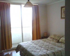 Carolina Turismo en Chile en Santiago |  Se arrienda departamento por d&iacute;a, Santiago Centro